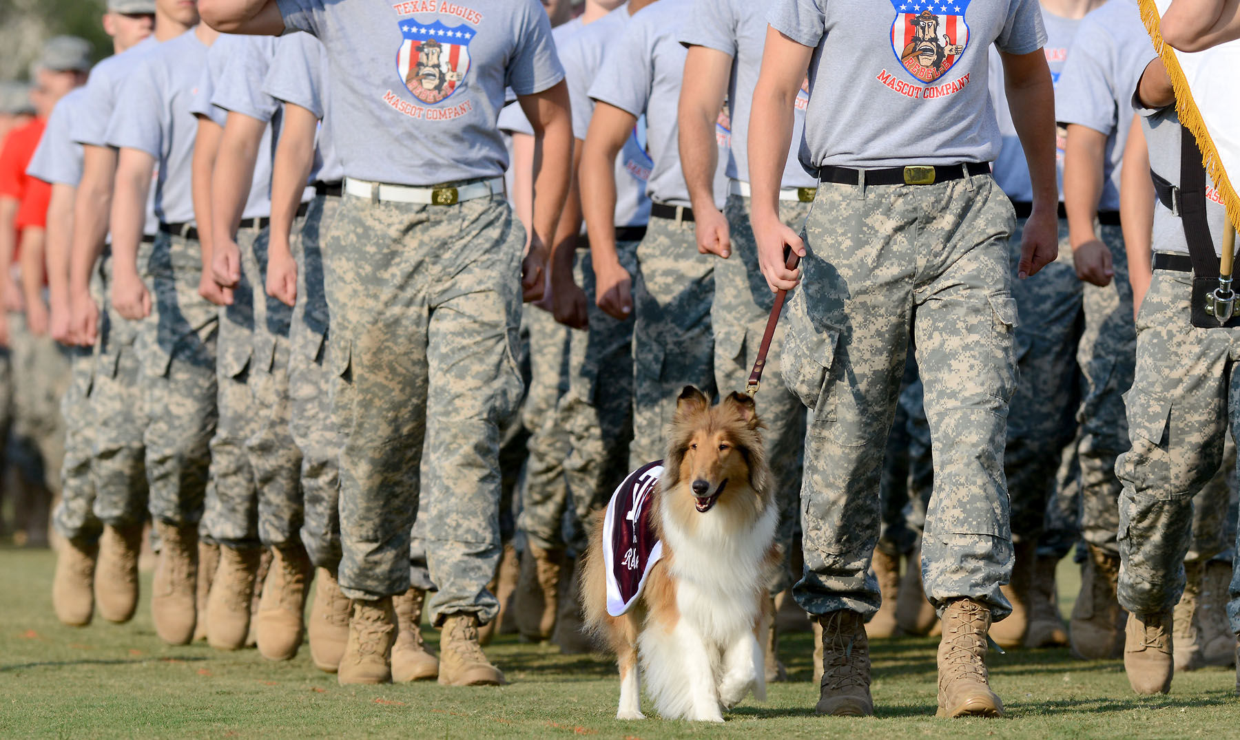 Bolstering of the ranks